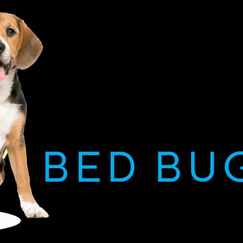 Eco Earth Bed Bug Dogs